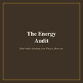 The Energy Audit cover