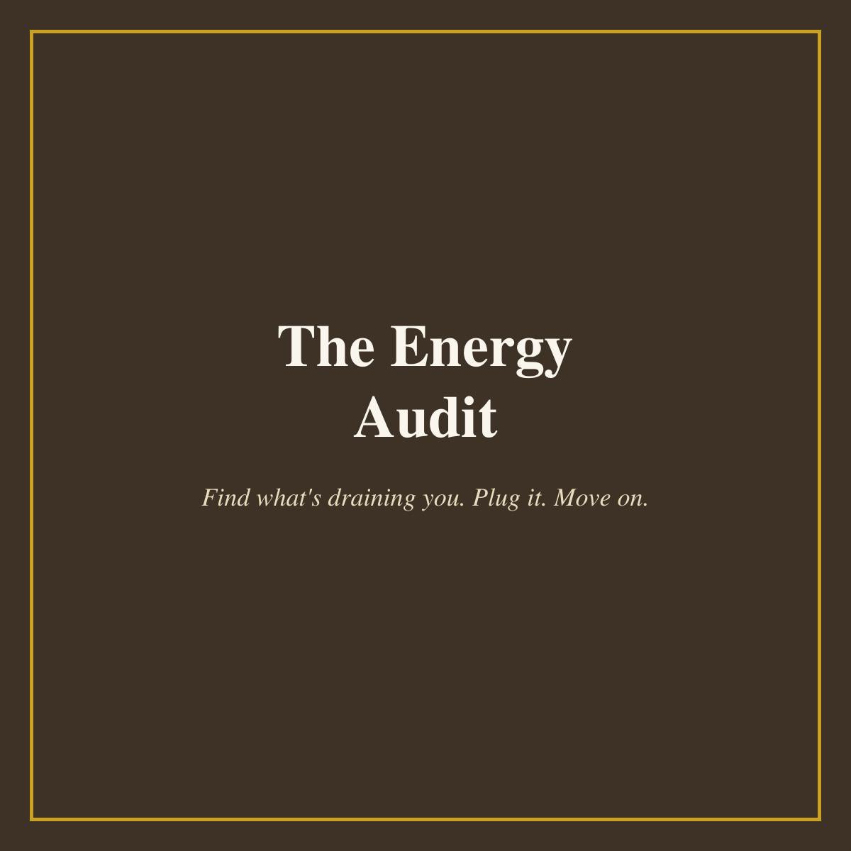 The Energy Audit cover