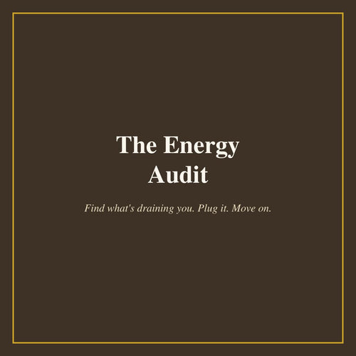 The Energy Audit cover